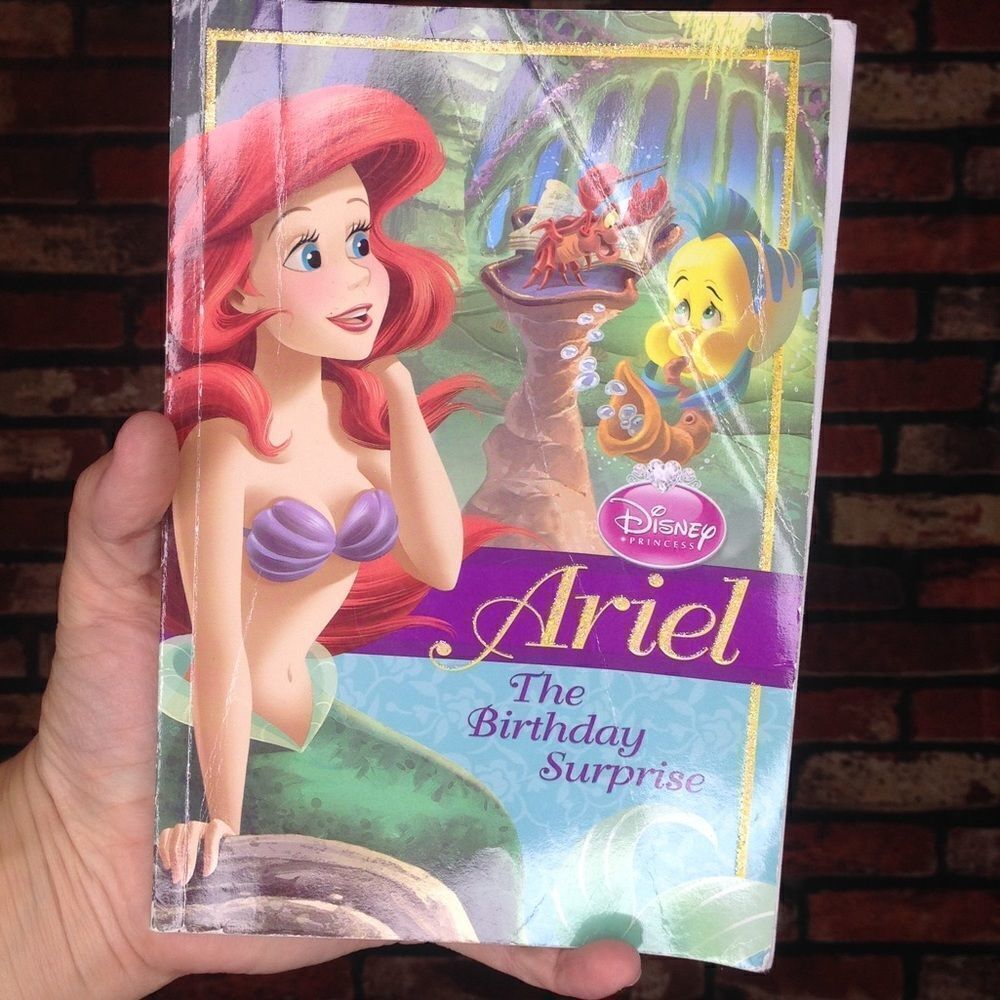 5 for $25🔥Disney Ariel- The Birthday Surprise